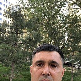 , 37, 