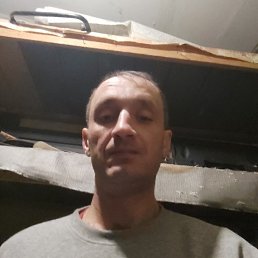 , 39, 