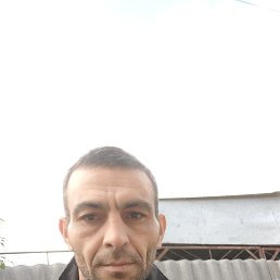 , 39, 