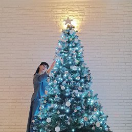 ����, ����������, 43 ����