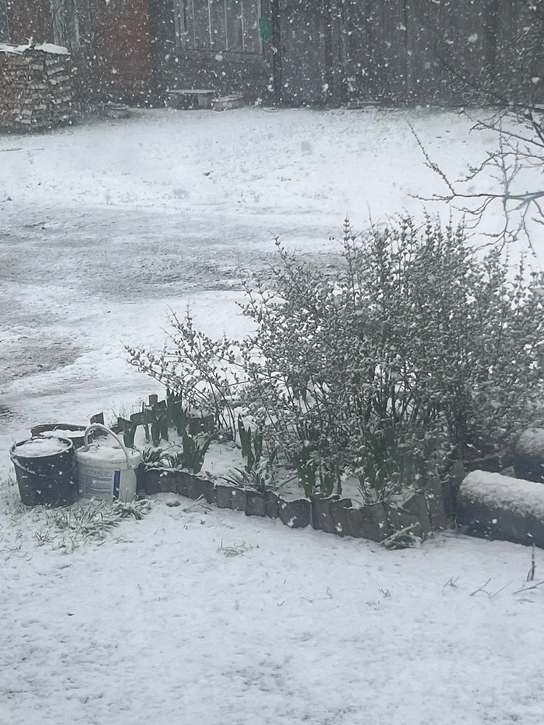   - 9