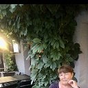 ���� �������� ����, �����, 68 ��� - ��������� 30 ���� 2026 � ������ ���� ����������