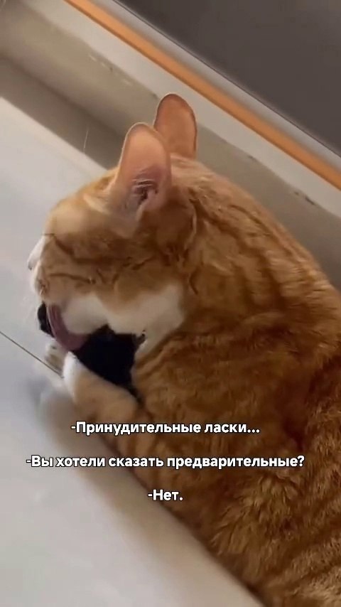 ������ ��������� �������) - 2