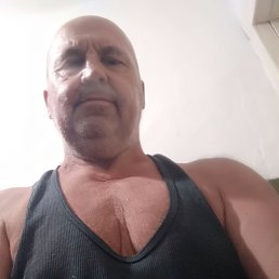 , 54 , 