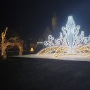 ���� ���������