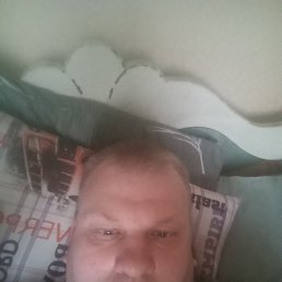 ����, 41 ���, ���������