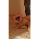 ���� ����, ������, 24 ���� - ��������� 23 ������ 2023 � ������ ���� ����������