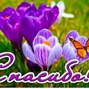���� Vasiliy, ������, 77 ��� - ��������� 3 ������� 2026 � ������ ������ ��������