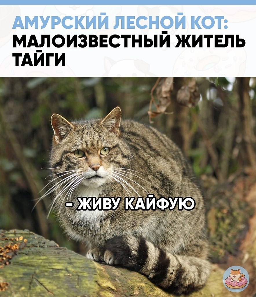 ���� ��� �����, ��������� � ��������� � ��������, �������� ����� �� ����� ����������. ��-�� ����� ...