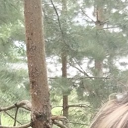 ������, ������, 57 ���