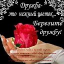 ���� �������, ���� - ��������� 7 ����� 2026 � ������ ������ ��������
