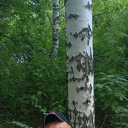 �����, 40 ���, ����