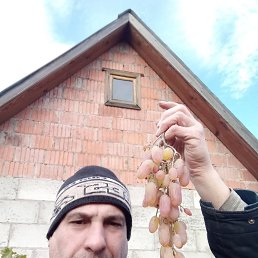 ����������, 49 ���, ������