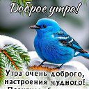 ���� �����, ������, 51 ��� - ��������� 11 ������ 2024