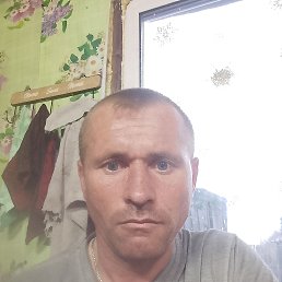  , 41, 