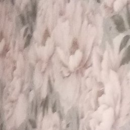 ���������, ������, 48 ���