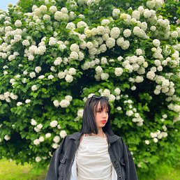 ���� ��������, �����-���������, 23 ���� - ��������� 12 ������ 2026