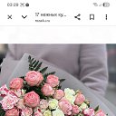 ���� ������, �����, 32 ���� - ��������� 12 ��� 2026