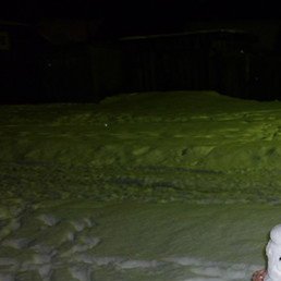 �����, �����, 42 ����