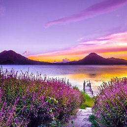 �������, ������, 42 ����