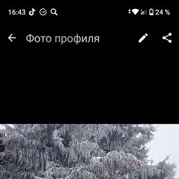 ����, �����������, 44 ����