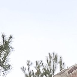 ��������, �������, 50 ���