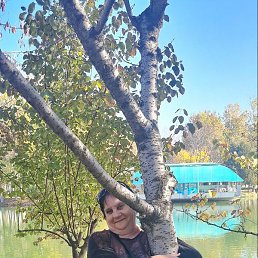 ������, �����, 62 ����