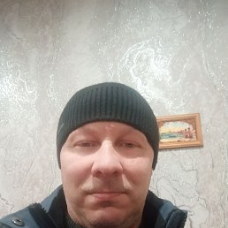 ���� ���������, �����, 49 ��� - ��������� 19 ������ 2026