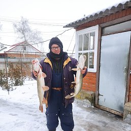   , --, 61  -  18  2025