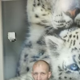 �������, 43 ����, ����