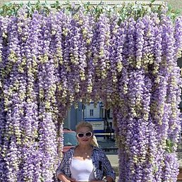 ������, ���������