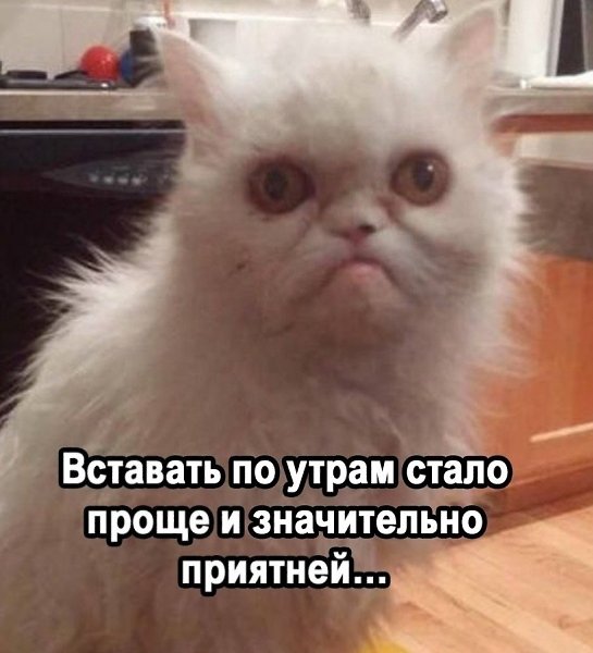�������� �������� - 14 ������� 2026 � 22:50 - 2