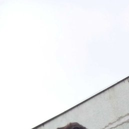 �����, ���������, 18 ���