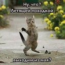 ���� �������, �����������, 50 ��� - ��������� 20 ���� 2025