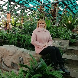 ��������, �������