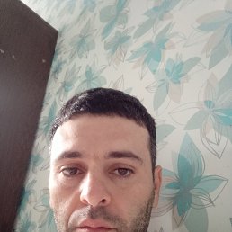 , 41, 