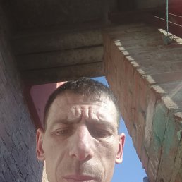 , 33, --