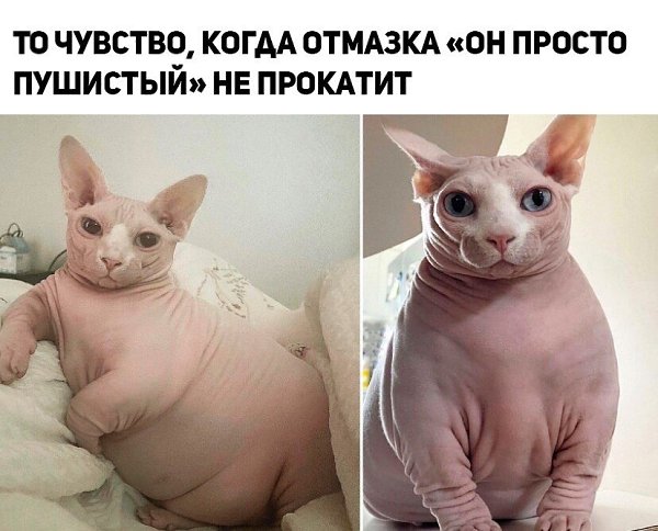 ☆����� � �������� �������☆ - 4 ����� 2025 � 22:39