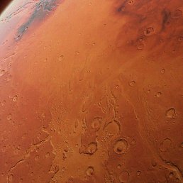 �����, ������, 37 ���