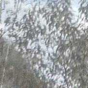 ������, 45 ���, �����������