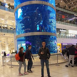 ����, ������, 40 ���