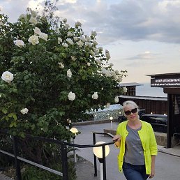 �����, ������, 56 ���