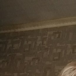 ��������, �������, 52 ����