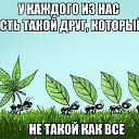 ���� �����, ����, 45 ��� - ��������� 10 ������ 2024 � ������ ���� ����������