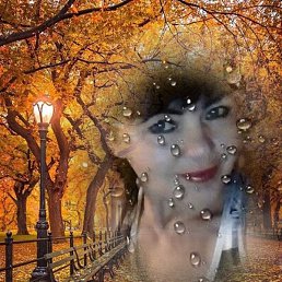 ������, ���, 50 ���