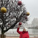 ���� ���������, ����� - ��������� 20 ������� 2025 � ������ ���� ����������
