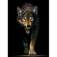 ����, 57 ���, ������