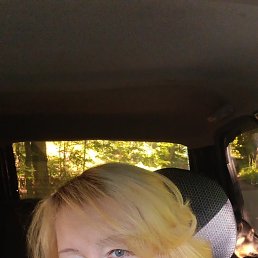 , 53, 