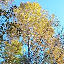 ���� ��������, ������, 42 ���� - ��������� 28 ������ 2023 � ������ ���� ����������