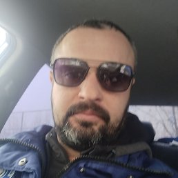 �������, ��������, 41 ���